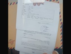 Lembaga P3D Konut ungkap Dugaan Pertambangan di Luar IUP PT Kelompok Delapan Indonesia