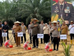 Perkuat Swasembada, Ketua DPRD Konawe Dukung Langkah Polri Perluas Lahan Jagung