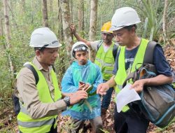Catatan Tiga Tahun Riset Ilmiah: Perspektif Baru Biodiversitas Pulau Wawonii
