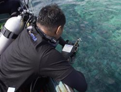 Ungkap Biodiversitas Pulau Wawonii, Peneliti: Kolaborasi Multipihak Jadi Kunci
