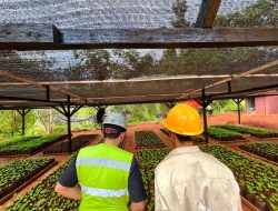 Menutup Triwulan I 2026, Reklamasi PT GKP Pulihkan 23,75 Hektare Lahan Pascatambang di Konkep