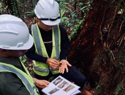 Kolaborasi Pemantauan Biodiversitas PT GKP Ungkap Spesies Baru di Pulau Wawonii
