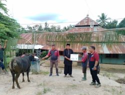 PT Marketindo Selaras Hewan Kurban ke Masyarakat Kecamatan Angata Konsel