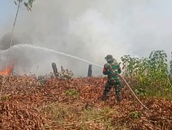 Gerak Cepat Gabungan TNI-Polri, Damkar dan Warga Jinakkan Kebakaran Lahan di Nanga-Nanga
