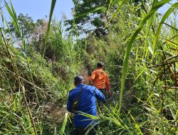 Hari Kedua Pencarian Nasarudin di Hutan Anggoro Konawe Nihil, Tim SAR Lanjut Besok Pagi