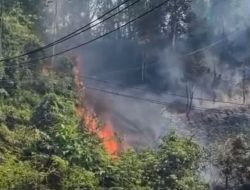Kebakaran Lahan di Wolasi Konsel, Api Merembet ke Tiang dan Kabel Listrik hingga Sempat Meledak