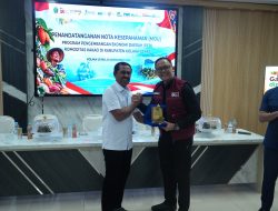Bank Sultra, PNM dan BPR Bahteramas Kucurkan Rp1,4 Miliar untuk Petani Kakao Kolut